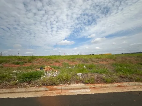 Comprar Terreno / &Aacute;rea em S&atilde;o Jos&eacute; do Rio Preto R$ 17.325.000,00 - Foto 17