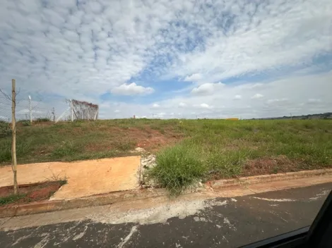 Comprar Terreno / &Aacute;rea em S&atilde;o Jos&eacute; do Rio Preto R$ 17.325.000,00 - Foto 19