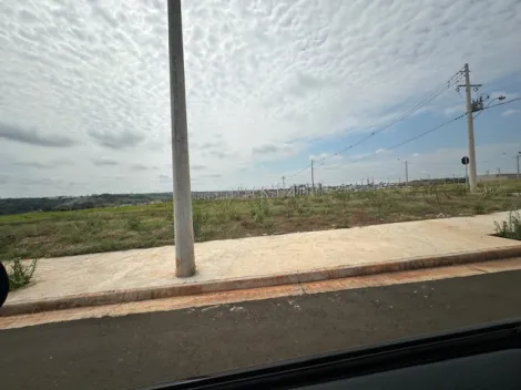Comprar Terreno / &Aacute;rea em S&atilde;o Jos&eacute; do Rio Preto R$ 17.325.000,00 - Foto 33