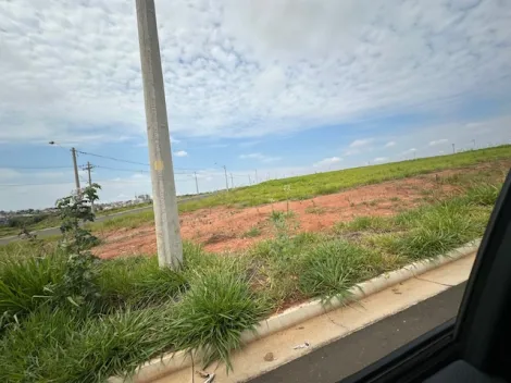 Comprar Terreno / &Aacute;rea em S&atilde;o Jos&eacute; do Rio Preto R$ 17.325.000,00 - Foto 52