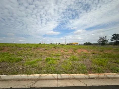 Comprar Terreno / &Aacute;rea em S&atilde;o Jos&eacute; do Rio Preto R$ 17.325.000,00 - Foto 54