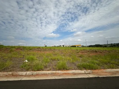 Comprar Terreno / &Aacute;rea em S&atilde;o Jos&eacute; do Rio Preto R$ 17.325.000,00 - Foto 57