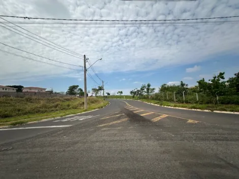 Comprar Terreno / &Aacute;rea em S&atilde;o Jos&eacute; do Rio Preto R$ 4.095.000,00 - Foto 6