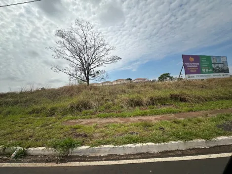Comprar Terreno / &Aacute;rea em S&atilde;o Jos&eacute; do Rio Preto R$ 4.095.000,00 - Foto 10