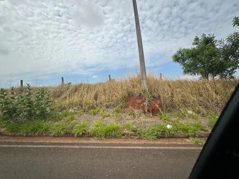 Comprar Terreno / &Aacute;rea em S&atilde;o Jos&eacute; do Rio Preto R$ 4.515.000,00 - Foto 10