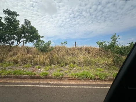 Comprar Terreno / &Aacute;rea em S&atilde;o Jos&eacute; do Rio Preto R$ 4.515.000,00 - Foto 11