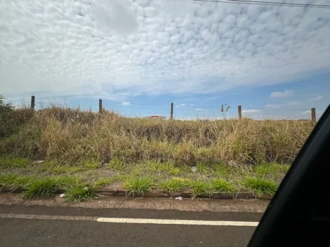 Comprar Terreno / &Aacute;rea em S&atilde;o Jos&eacute; do Rio Preto R$ 4.515.000,00 - Foto 12