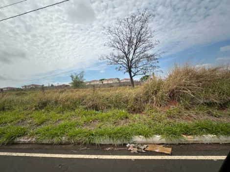 Comprar Terreno / &Aacute;rea em S&atilde;o Jos&eacute; do Rio Preto R$ 4.515.000,00 - Foto 13