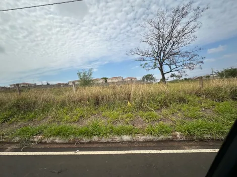 Comprar Terreno / &Aacute;rea em S&atilde;o Jos&eacute; do Rio Preto R$ 4.515.000,00 - Foto 6