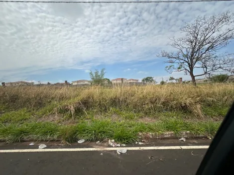 Comprar Terreno / &Aacute;rea em S&atilde;o Jos&eacute; do Rio Preto R$ 4.515.000,00 - Foto 7