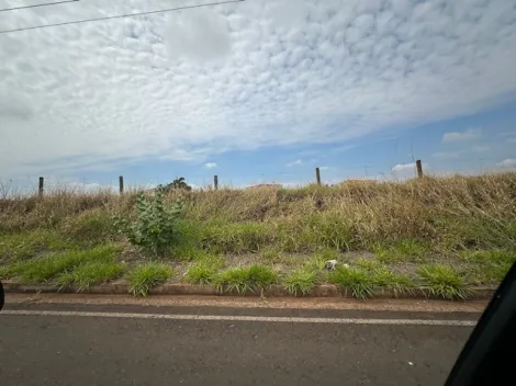 Comprar Terreno / &Aacute;rea em S&atilde;o Jos&eacute; do Rio Preto R$ 4.515.000,00 - Foto 9