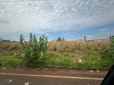 Terreno / &Aacute;rea em S&atilde;o Jos&eacute; do Rio Preto 