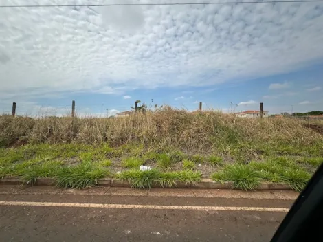 Comprar Terreno / &Aacute;rea em S&atilde;o Jos&eacute; do Rio Preto R$ 4.515.000,00 - Foto 2