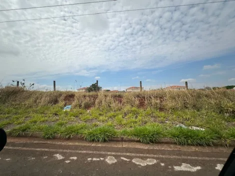 Comprar Terreno / &Aacute;rea em S&atilde;o Jos&eacute; do Rio Preto R$ 4.515.000,00 - Foto 3