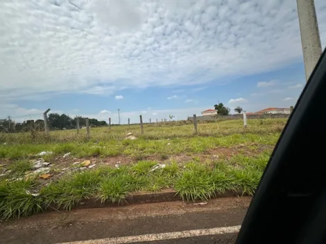 Terreno / &Aacute;rea em S&atilde;o Jos&eacute; do Rio Preto 
