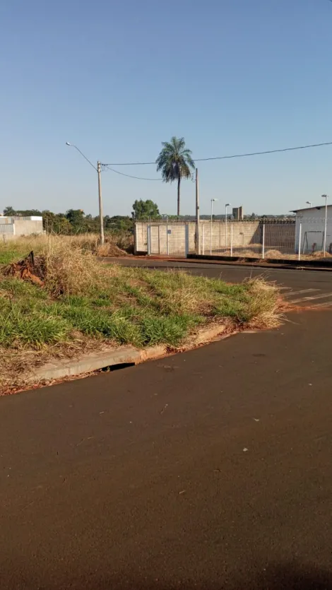 Alugar Terreno / Padr&atilde;o em S&atilde;o Jos&eacute; do Rio Preto. apenas R$ 115.000,00