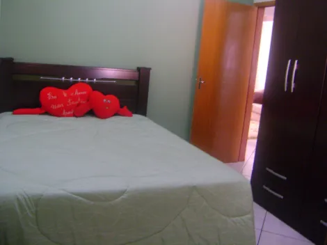 Alugar Casa / Padr&atilde;o em S&atilde;o Jos&eacute; do Rio Preto R$ 1.350,00 - Foto 5