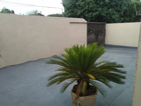 Alugar Casa / Padr&atilde;o em S&atilde;o Jos&eacute; do Rio Preto. apenas R$ 260.000,00