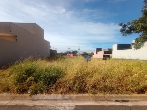 Comprar Terreno / Padr&atilde;o em Bady Bassitt R$ 160.000,00 - Foto 5