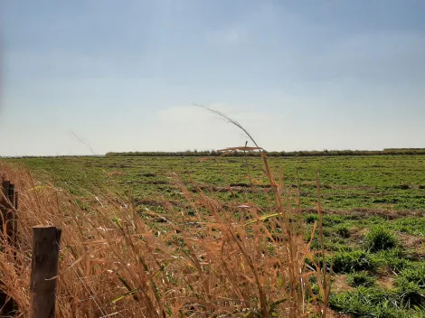 Comprar Rural / S&iacute;tio em Sud Mennucci R$ 7.500.000,00 - Foto 9