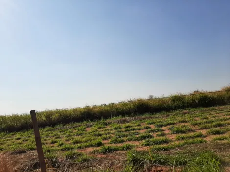 Comprar Rural / S&iacute;tio em Sud Mennucci R$ 7.500.000,00 - Foto 20