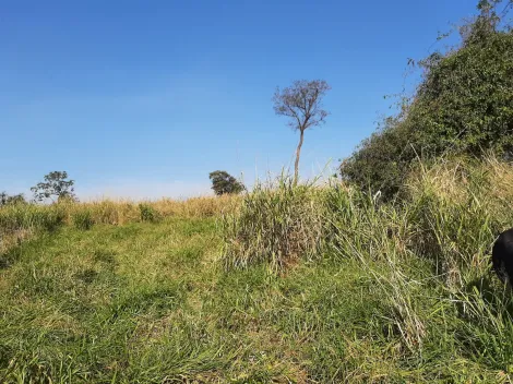 Comprar Rural / S&iacute;tio em Sud Mennucci R$ 7.500.000,00 - Foto 21