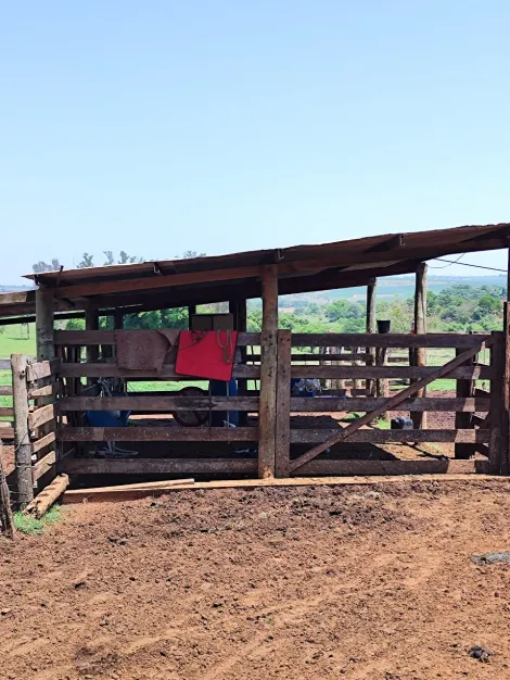 Comprar Rural / S&iacute;tio em Sud Mennucci R$ 7.500.000,00 - Foto 12