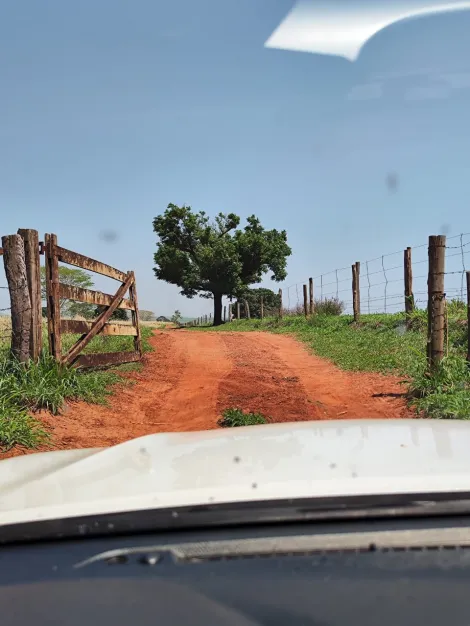 Comprar Rural / S&iacute;tio em Sud Mennucci R$ 7.500.000,00 - Foto 8