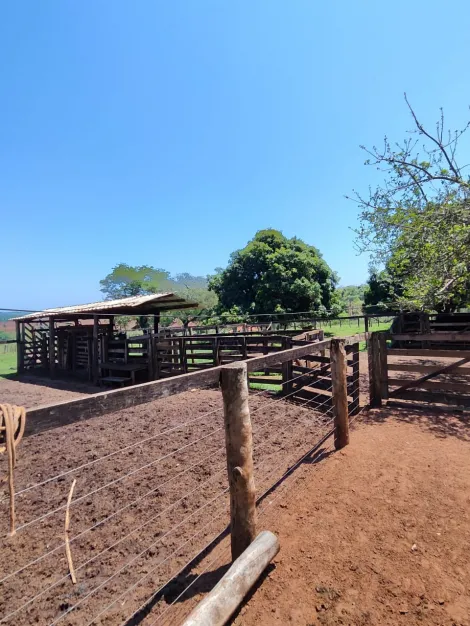 Comprar Rural / S&iacute;tio em Sud Mennucci R$ 7.500.000,00 - Foto 17