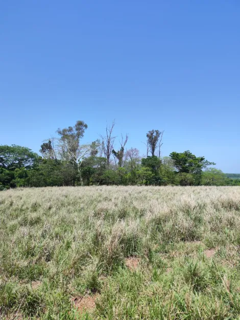 Comprar Rural / S&iacute;tio em Sud Mennucci R$ 7.500.000,00 - Foto 5