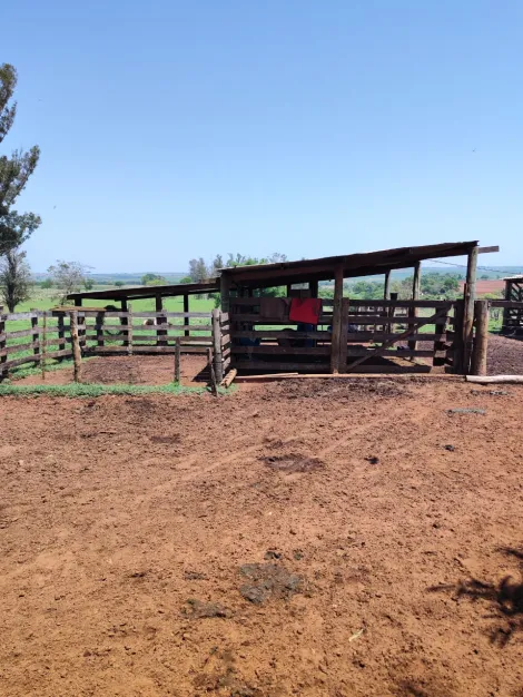 Comprar Rural / S&iacute;tio em Sud Mennucci R$ 7.500.000,00 - Foto 19