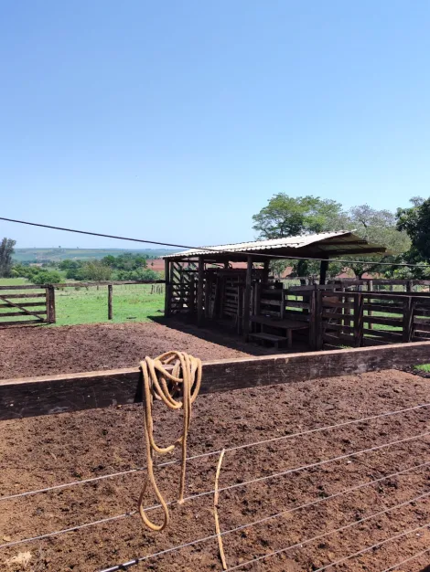 Comprar Rural / S&iacute;tio em Sud Mennucci R$ 7.500.000,00 - Foto 26