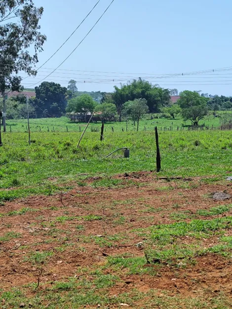 Comprar Rural / S&iacute;tio em Sud Mennucci R$ 7.500.000,00 - Foto 27