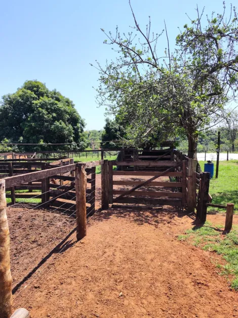 Comprar Rural / S&iacute;tio em Sud Mennucci R$ 7.500.000,00 - Foto 28