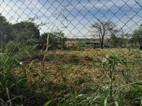 Comprar Rural / Ch&aacute;cara em S&atilde;o Jos&eacute; do Rio Preto R$ 160.000,00 - Foto 3