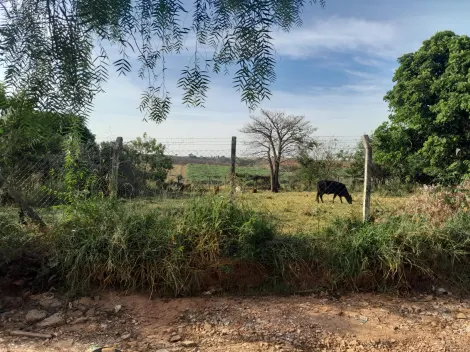 Comprar Rural / Ch&aacute;cara em S&atilde;o Jos&eacute; do Rio Preto R$ 160.000,00 - Foto 2