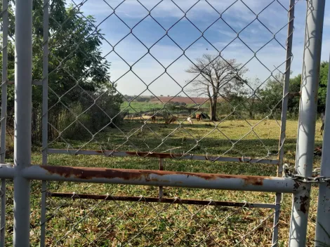 Comprar Rural / Ch&aacute;cara em S&atilde;o Jos&eacute; do Rio Preto R$ 160.000,00 - Foto 5