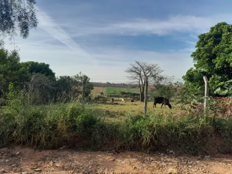 Alugar Rural / Ch&aacute;cara em S&atilde;o Jos&eacute; do Rio Preto. apenas R$ 160.000,00
