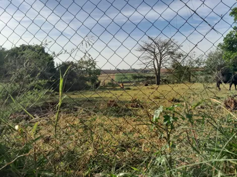 Comprar Rural / Ch&aacute;cara em S&atilde;o Jos&eacute; do Rio Preto R$ 160.000,00 - Foto 6