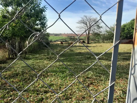 Comprar Rural / Ch&aacute;cara em S&atilde;o Jos&eacute; do Rio Preto R$ 160.000,00 - Foto 7
