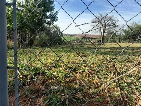 Comprar Rural / Ch&aacute;cara em S&atilde;o Jos&eacute; do Rio Preto R$ 160.000,00 - Foto 4