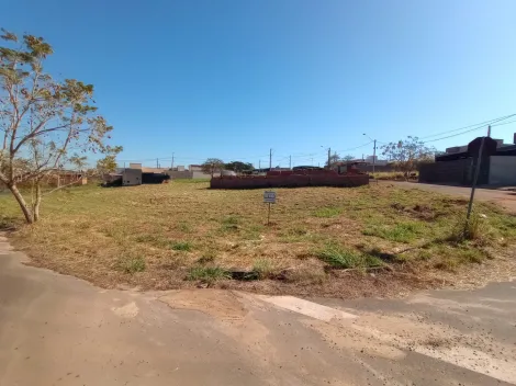 Comprar Terreno / Padr&atilde;o em Bady Bassitt R$ 98.000,00 - Foto 2
