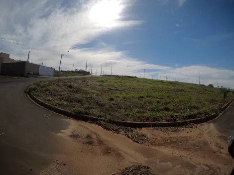 Alugar Terreno / Padr&atilde;o em Bady Bassitt. apenas R$ 98.000,00