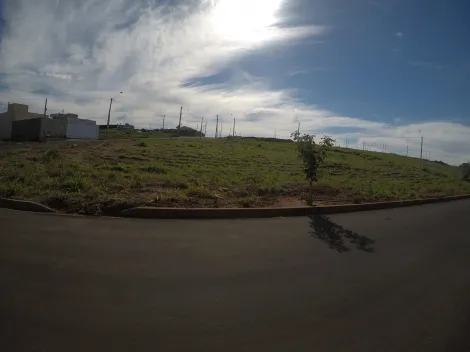 Alugar Terreno / Padr&atilde;o em Bady Bassitt. apenas R$ 96.000,00