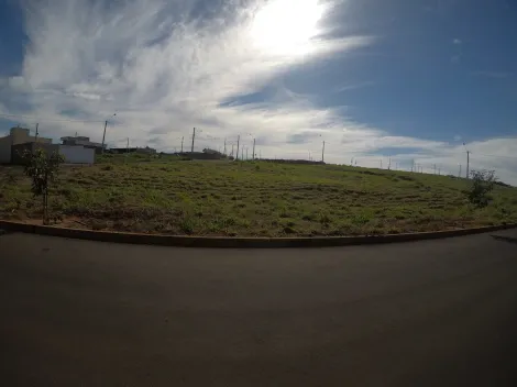 Alugar Terreno / Padr&atilde;o em Bady Bassitt. apenas R$ 72.000,00