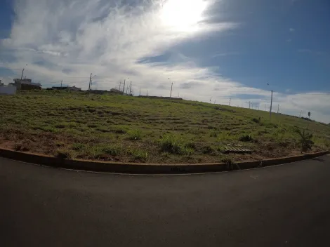 Alugar Terreno / Padr&atilde;o em Bady Bassitt. apenas R$ 75.000,00