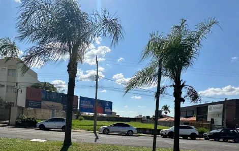 Comprar Terreno / &Aacute;rea em S&atilde;o Jos&eacute; do Rio Preto - Foto 4