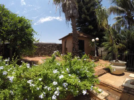 Comprar Casa / Padr&atilde;o em S&atilde;o Jos&eacute; do Rio Preto R$ 2.250.000,00 - Foto 23