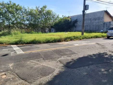 Terreno / Padr&atilde;o em S&atilde;o Jos&eacute; do Rio Preto 