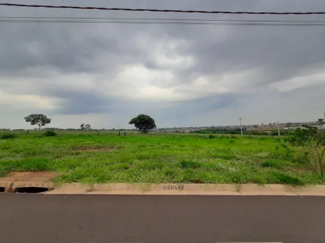 Alugar Terreno / Padr&atilde;o em S&atilde;o Jos&eacute; do Rio Preto. apenas R$ 115.000,00